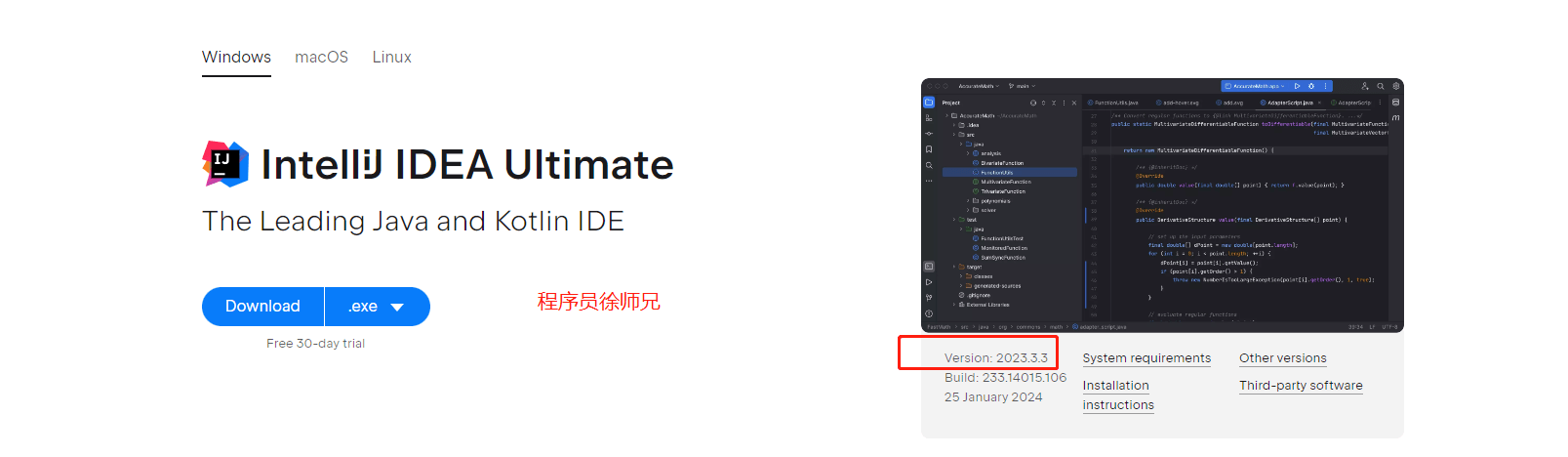 image-20240205162720844